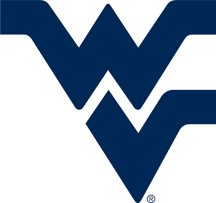 West Virginia Mountaineers 2016-Pres Primary Logo diy DTF decal sticker